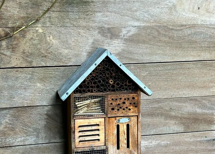 Park Bed & Breakfast