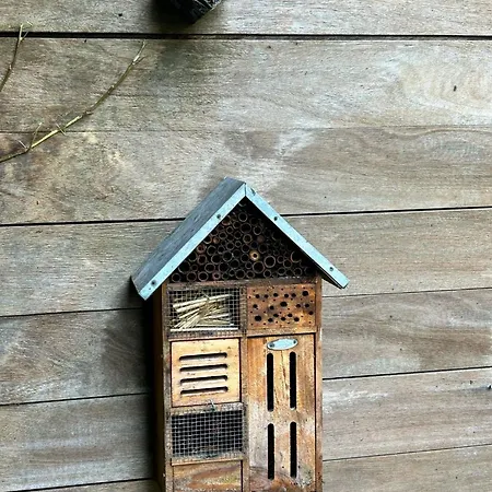 Park Bed and Breakfast